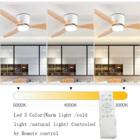 Fan Chandelier DC Motor 6 Speed Timing Modern LED 20cm Simple Indoor Living Room Room Remote Control Ceiling Fan Light