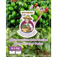 Bibit Premium Cabe Gendot Dieng Si Super Pedas | Biji Beni Cabe Gendot Dieng | Cabe Gendot Dieng