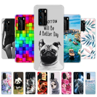 For Huawei P40 Case Painted Soft Silicon TPU Back Phone Cover For Huawei P40 Pro P40Pro P 40 Full Pr