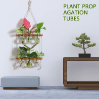 Plant Propagation Station Kit 6 Bulb Vase Double Layer Plant Terrarium Wall Hanging Novel Flower Bulb Vase with Wooden Stand