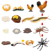 16PCS Farm Animals Figurines Life Cycle Of Chicken Rooster Centipede Spider Mosquito, Kids Cognitive Educational Toys-Drop Ship