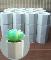Pot Mini Kaktus Sukulen Segi Delapan Oktagonal Unik Lucu Estetik Perlengkapan Taman Bahan Semen Taha