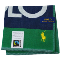 RALPH LAUREN POLO 字母大LOGO品牌馬球圖騰刺繡小方巾(綠色底/26.5CM)
