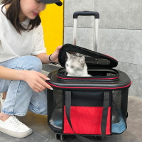【24H現貨】寵物包外出便攜貓包狗狗拉桿箱寵物推車輕便可折疊貓咪外出包免運