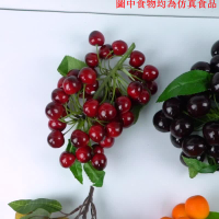仿真水果串假荔枝龍眼番茄櫻桃楊梅沙糖桔模型裝飾圣女果道具桂圓