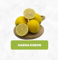 Lemon California Kuning 500 g