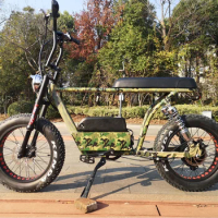 Ristar 20 Inch Fat Tire E-bike Foldable For Adults Mountain Electric Bike