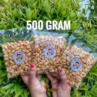 500 Gram - Kacang Bali Gayatri / Kacang Bali Gayatri Kacang Bawang