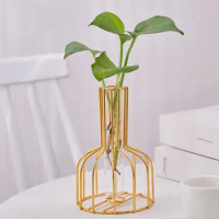 1 set of gold wrought iron metal vase hydroponic container test tube vase living room illustration decoration