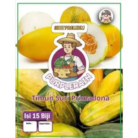 Bibit Premium Timun Suri Primadona | Benih Premium Ketimun Suri Primadona | Timun