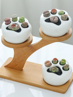 簡約白色創意多肉植物陶瓷可愛小貓爪樹梢竹架日式組合盆栽花盆