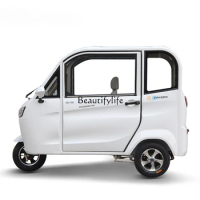 Electric Tricycle Fully Enclosed Household Adult Battery Car with Shed for the Elderly
