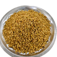 Venthayam / Fenugreek Seeds Rempah Ratus