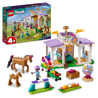 【LEGO 樂高】Friends 41746 小馬訓練場(動物玩具 兒童玩具)