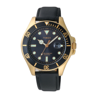 TIMEX 簡約紳士皮帶腕錶-金X黑帶-TW2V42200-44mm