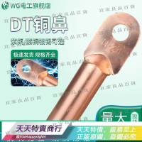 【宜家良品百貨】200發貨DT銅鼻子國標加厚電纜銅接頭4到630平方紫銅鍍錫線耳電線銅線鼻子