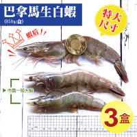【優鮮配】巴拿馬白蝦3盒(850G/盒)
