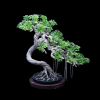 Bonsai Ficus Replika Hiasan Aquarium Alami