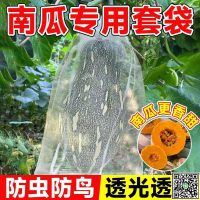 加密防蟲防蠅套袋貝貝南瓜冬瓜南西瓜套水果套袋防蟲網袋通用-UM.有米家居