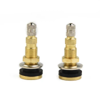 TR618A Tractor Air Liquid Tubeless Tire Brass Valve Stem, 2PCS, Designed for Agricultural and Truck Tires, 16MM Gas Nozzle Hole