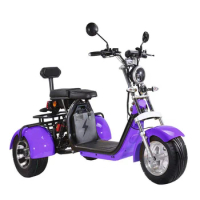 3 wheel electric scooter Adult Tricycle 1500W 2000W tricycle with eec European warehouse in stock