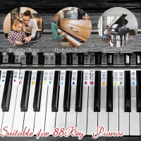Miếng Dán Bàn Phím Đàn Piano, 88 Phím Và 61 Phím, Miếng Dán Có Thể Tháo Rời Chất Liệu Silicon, Chống