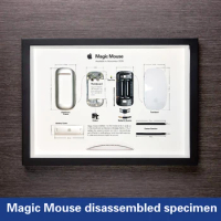 Magic Mouse 1st generation disassembled and assembled specimen painting Mouse disassembled decorative painting display collectio