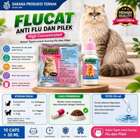FLUCAT MENGATASI KUCING FLU PILEK EFEKTIF AMPUH MENGATASI KUCING SAKIT FLUCAT 10 KAPSUL