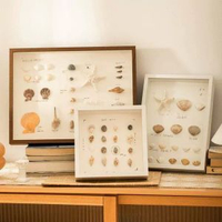 相框6寸相框DIY貝殼小海螺裝飾畫框相框空框蝴蝶標本框高階感擺臺 網紅 小紅書  爆款 東莞倉現貨直發