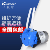 卡默爾蠕動泵12v自吸泵直流抽水泵小泵 迷你水泵電動小水泵循環泵