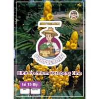 Bibit Premium Ketepeng cina |Benih Herbal Daun Ketepeng Cina|Biji Benih Ketepeng Cina