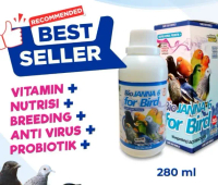 | SUPLEMEN BURUNG | NUTRISI BURUNG | VITAMIN BURUNG | BREEDING BURUNG | PROBIOTIK
