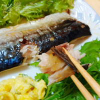挪威鯖魚片 箱購 (12Kg)【免運】冷凍海鮮
