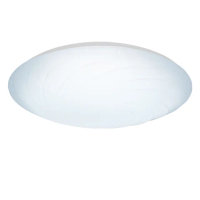 【SHARP 夏普】買大送小55W 適用5.5-9坪 超高光效 遙控調光調色 LED 漩悅 吸頂燈(新版亮度提高/日本監製)