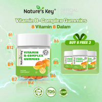 Nature's Key Vitamin B Complex Gummies 60 biji B1 B2 B5 B6 B12 Biotin Niacin Folat Pek Keluarga Mult