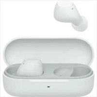 Sony WF-C510 True Wireless Earbuds - earphone sony WF-C 510 White