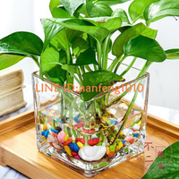 水培器皿創意玻璃花盆水養植物瓶透明花器綠蘿花瓶正方形容器【不二雜貨】