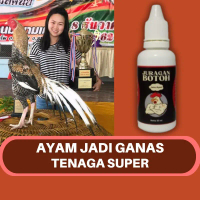 Jamu Ayam Bangkok Juragan Botoh Biar Ganas Nafas Kuat Dan Tenaga Super Pukulan Keras Sebelum Diadu
