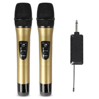 Professional Wireless Microphone One Drag Two Hand Held Microphone Cordless Microphone Professional Uhf Wireless