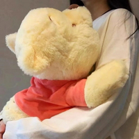 毛绒 玩偶 抱枕 維尼噗噗公仔小熊維尼毛絨抱枕娃娃女生睡覺生日禮物毛絨公仔