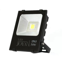 【JOYA LED】30W LED 戶外防水投射燈 投光燈(防水防塵IP65 全電壓 一年保固)