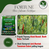TERMURAH FORTUNE 1KG Pupuk Anti Busuk Buah Cabai Terbaik - Obat Pengendali Busuk akar,busuk batang,b