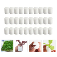120 Pcs Sponges Planting for Block Gardening Tools Hydroponic Sprout White Wheatgrass Grower