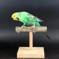 Wood Perch Stand with Base Parrot Stable Table Top Scrub Station for Birds