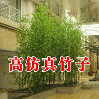 【10元5根包郵】 仿真竹子室內酒店裝飾加密細水帶稍景觀竹塑