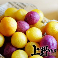 【上野物產】黃金地瓜球-芋頭內餡 x3包(300g±10%/包)