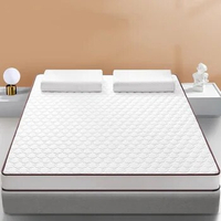 Theater Foam Bed Mattress Single Sleep Guest Dining Room Latex Double Size Elastic Mattresses Inflatable Cama Camping Furniture