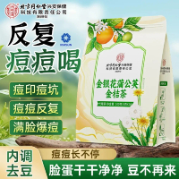 [SG Seller] Beijing Tong Ren Tang Light Herbal Tea for Hot Weather | Honeysuckle Dandelion Herbal Te