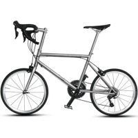 Gr9 Ti Road Bicycle Titanium Mini Velo Bike Frame 451/20inch