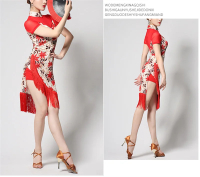 Classic Latin Dance Dress  Cheongsam Tassels Fringe Rumba Ballroom Cha Cha Dance Costume Womens Stag